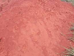 ĐẤT ĐỎ BAZAN ( ĐÃ QUA XỬ LÝ )