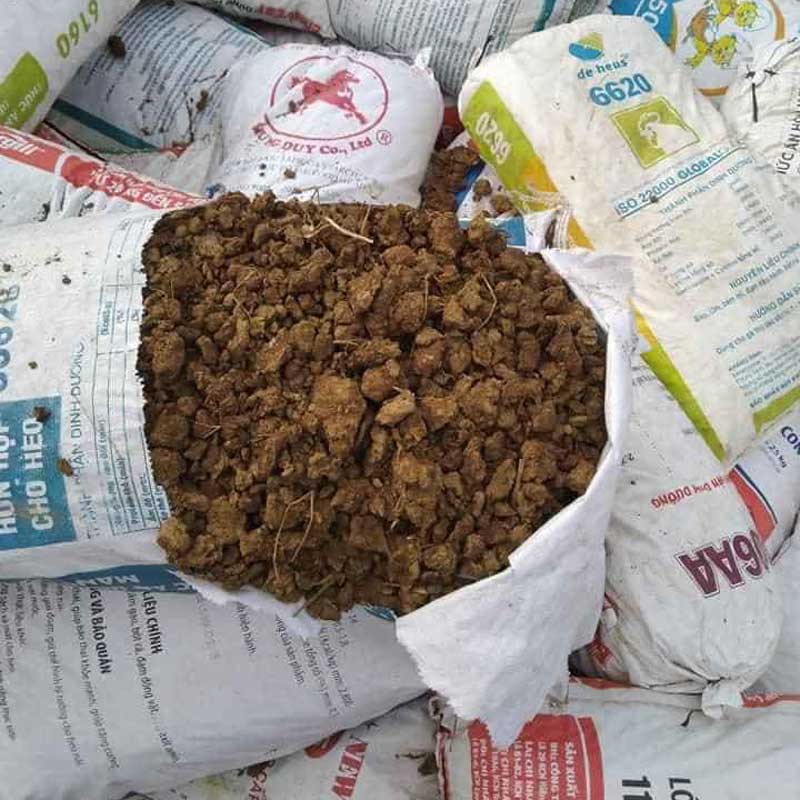 PHÂN BÒ CHỈ PHƠI KHÔ  